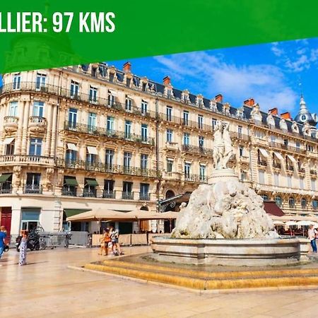 דירות אביניון L'Olivier - 2 Terrasses - Clim Ac - Wifi - Proche Theatres מראה חיצוני תמונה